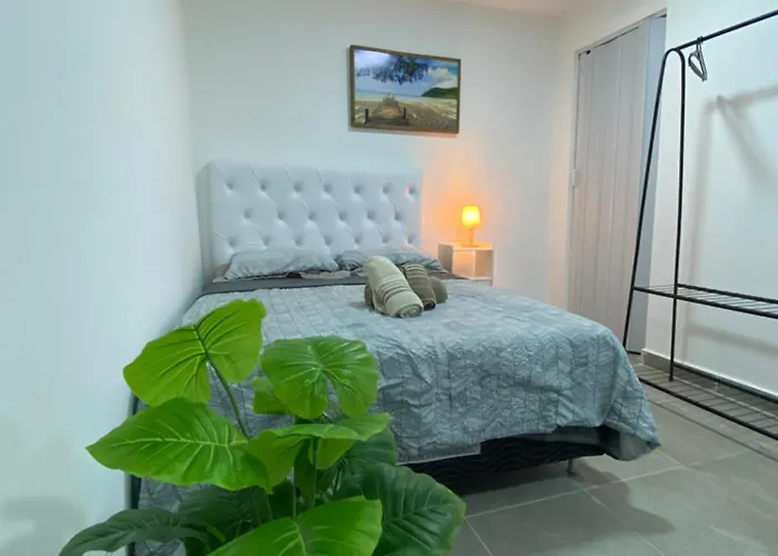 Suite Vargem Grande 2 - Praia, Cachoeira E Trilhas